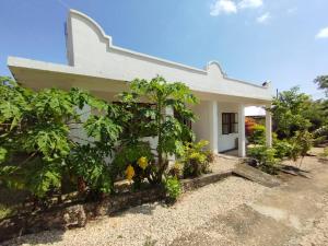 O grădină în afara Kendwa Modern Flats - WAMBAA GARDEN