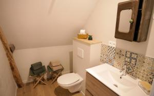 a bathroom with a toilet and a sink at Le grand Loré in Sainte-Suzanne +20 photos