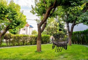a swing hanging from a tree in a yard at Vila Valeria in Techirghiol +14 photos