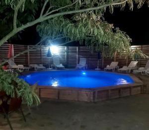 a large blue swimming pool at night at Etno selo Smederevo PEPE- Serbia in Landol