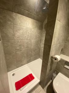 Ένα μπάνιο στο 1 The View apartments Ilfracombe - Seafront, Parking, Lift, EV +24 φωτογραφίες