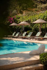 萨利杰尔梅Akvilla House Sarigerme的一个带草坪椅和遮阳伞的游泳池
