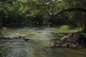 Afbeelding uit fotogalerij van Wild Wagon Service Villa in Meppādi
