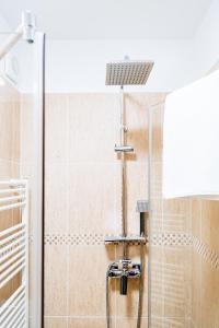 a shower in a bathroom with a glass door at Casa Salzburg in Sibiu +96 photos