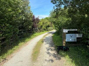 a black dog standing on a dirt road at The Stables at Hustyn Gate in Wadebridge