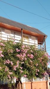 a large bush with pink flowers in front of a building at Hospedaje Navarro Dpto N3 matrimonial in Navarro