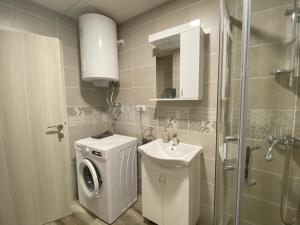 un bagno con lavatrice e lavandino di Apartman Peric a Ruma