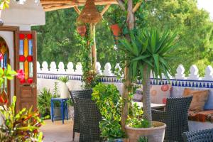 Zahrada ubytování Riad Al-Qurtubi