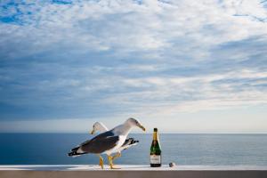 two seagulls standing on a beach with two bottles of champagne at Grand Hotel Des Sablettes Plage, Curio Collection By Hilton in La Seyne-sur-Mer