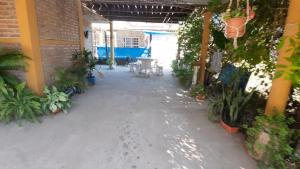 an empty courtyard with plants in a building at El Cumpa Bungalow in La Paz +4 photos