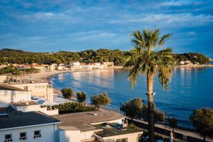a palm tree on a beach next to the water at Grand Hotel Des Sablettes Plage, Curio Collection By Hilton in La Seyne-sur-Mer
