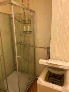 a bathroom with a glass shower with a toilet at Sentrum overnatting-Kjøllefjord in Kjøllefjord +14 photos