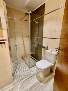 a bathroom with a toilet and a glass shower at Altezza Luxury Apartment 11 in Budva +29 photos