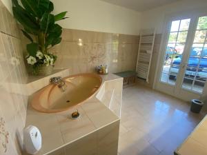 a bathroom with a tub with a potted plant at Villa Bellevue in Pech Sec +15 photos