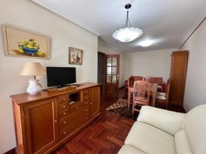 TV a/nebo společenská místnost v ubytování Apartamento Salgueirón