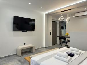 TV a/nebo společenská místnost v ubytování Luxury Downtown Apartment A6