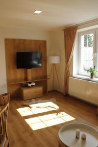 TV o dispositivi per l'intrattenimento presso Apartmány B. Němcové