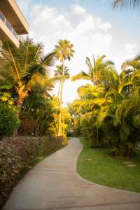 Maui Banyan- Your home away from home on Maui!外面的花园