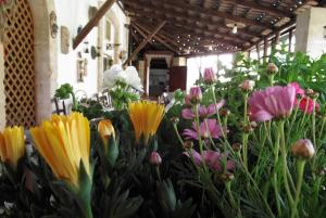 Ogród w obiekcie Fattoria Il Noce B&B