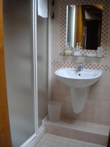 La salle de bains est pourvue d'un lavabo et d'une douche. dans l'établissement Bed and Breakfast Cappeler, à Tione di Trento