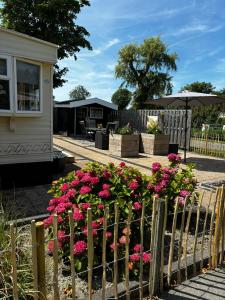 a garden with pink flowers in a fence at Stekkie 49 in Schagen
