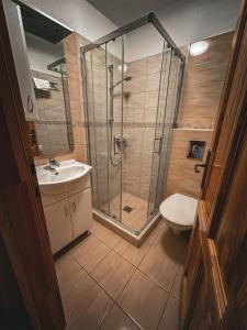 a bathroom with a shower and a toilet and a sink at Groppenstein Apartmanház in Obervellach +42 photos