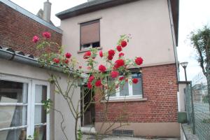 Un mazzo di fiori rossi sul lato di un edificio di SALAMANDRES a Tergnier