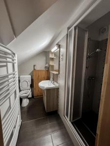 Koupelna v ubytování Groppenstein Apartmanház