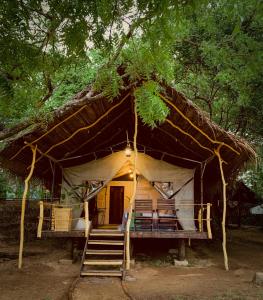 Zahrada ubytování Camp Leopard - Yala Safari Glamping