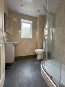 a bathroom with a toilet and a sink and a shower at Two bedroom flat close to meadows with free parking by parking permit in Edinburgh