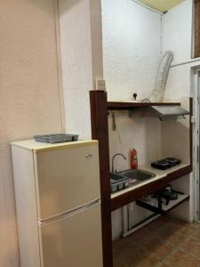 een kleine keuken met een spoelbak en een koelkast bij Les Mangroves in Mahébourg