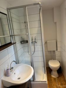 Koupelna v ubytování Ferienwohnung Am Langenberg