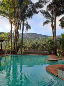 a swimming pool with palm trees and mountains in the background at The Ultimate Lodge in Louis Trichardt