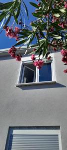 Fotografie z fotogalerie ubytování Apartman Vito v destinaci Ploče