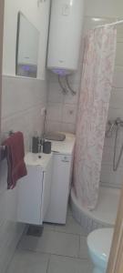 Koupelna v ubytování Apartman Vito