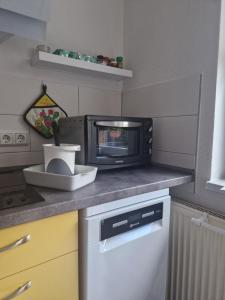 Kuchyň nebo kuchyňský kout v ubytování Ferienwohnung Relax
