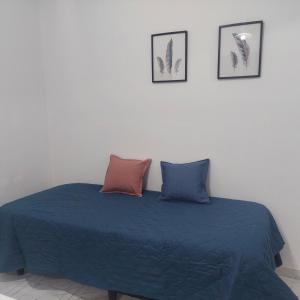 ein Schlafzimmer mit einem blauen Bett mit zwei Kissen in der Unterkunft Departamentos Falucho 3 in Santa Rosa + 2 Fotos