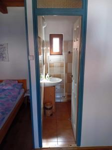 a small bathroom with a sink and a mirror at Biró vendégház in Sărăţeni