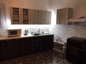 a kitchen with a sink and a microwave at Casa Hrincescu in Baia Nouă