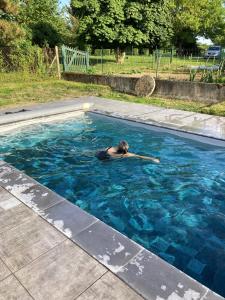 Swimmingpoolen hos eller tæt på Maison vintage à Montdauphin