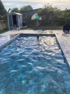 Swimmingpoolen hos eller tæt på Maison vintage à Montdauphin