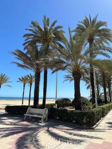 a park with palm trees and a bench on the beach at Casa Barcelona 2 minutos la playa in Cullera