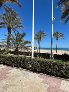 a row of palm trees and a beach with the ocean at Casa Barcelona 2 minutos la playa in Cullera