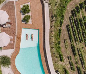 Πισίνα στο ή κοντά στο Private Douro- Quinta das Susandas