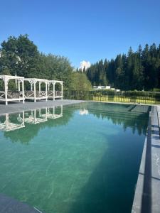 una piscina d'acqua con un ponte e alberi bianchi di Guest House Turda a Bukovel
