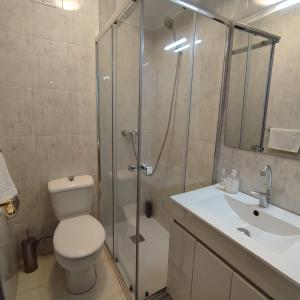 Un baño con ducha, inodoro y lavabo. en Quédate en casa Titi, en Santander