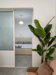 Giường trong phòng chung tại Guesthouse Shyti 2 +2 ảnh