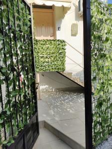 Vườn quanh Guesthouse Shyti 2