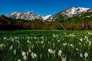 Gallery image of 白馬の里ユースホステル HAKUBA TSUGAIKE Youth Hostel in Otari +18 photos