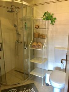 a bathroom with a shower and a toilet at Family friendly house with a swimming pool Bribir, Novi Vinodolski - 23474 in Bribir